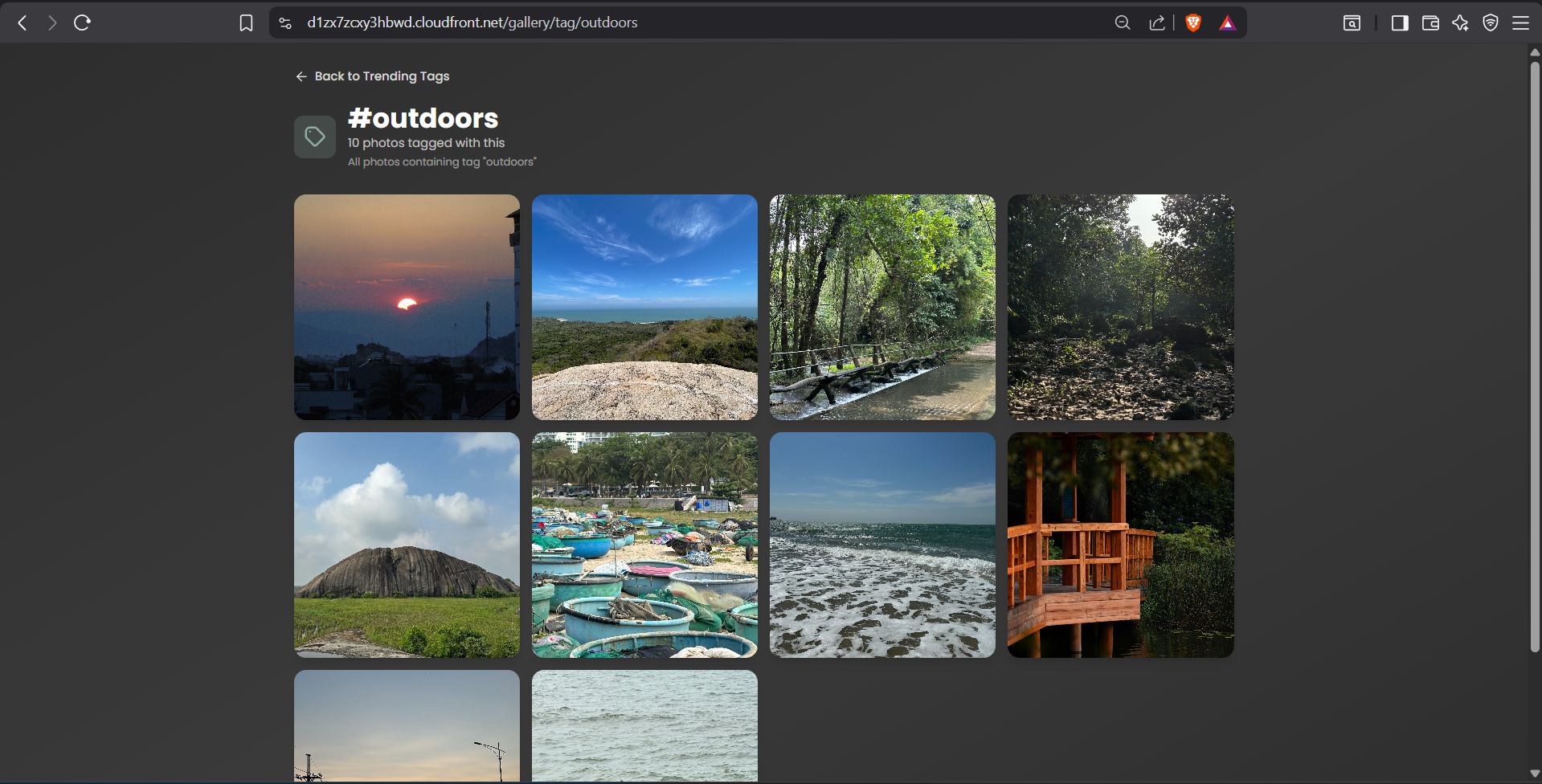 Gallery Frontend Search